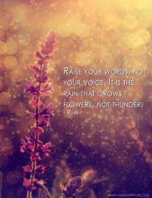 Rumi - bagus